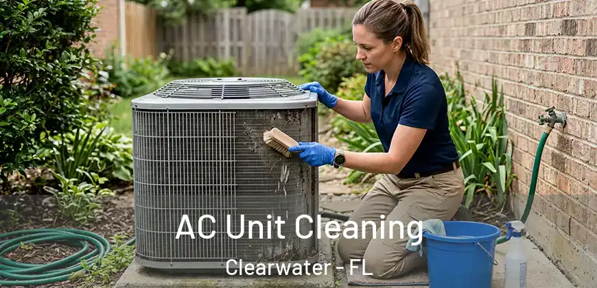 AC Unit Cleaning Clearwater - FL